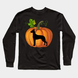 Great dane in pumpkin Long Sleeve T-Shirt